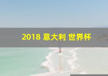 2018 意大利 世界杯